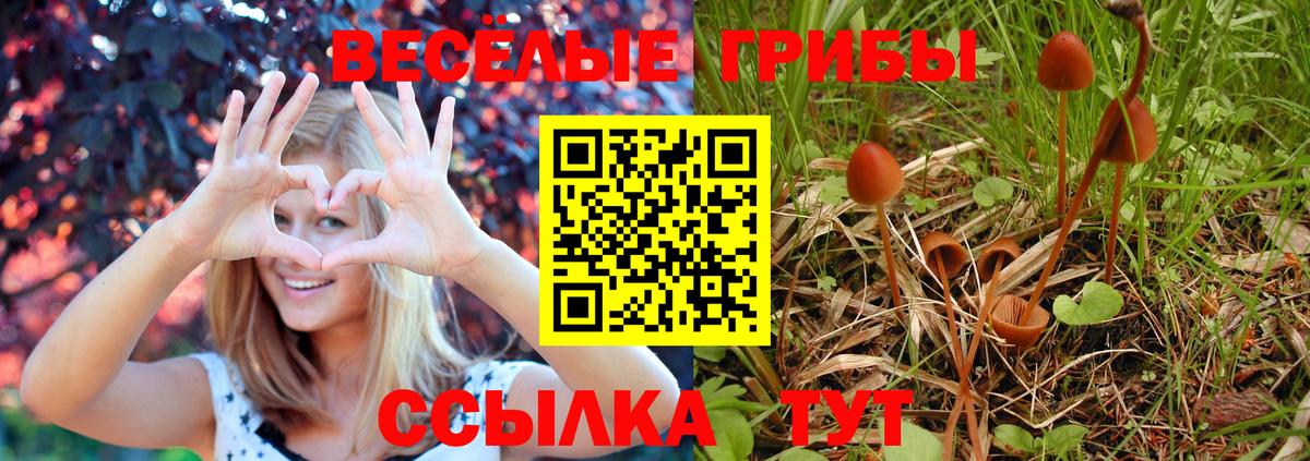 Галлюциногенные грибы MAGIC MUSHROOMS  Вход с VPN  Муравленко  магазин    Галлюциногенные грибы Magic Shrooms 